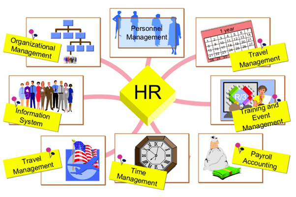 Essential Components of a High-Functioning HR System Software Solution