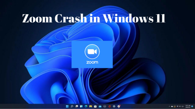 Zoom crash in windows 11