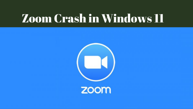 Zoom crash in windows 11