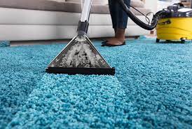 What Are The Benefits Of Having Your Carpet Cleaning?