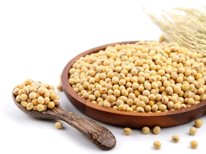 Soy Protein- Everything to know About
