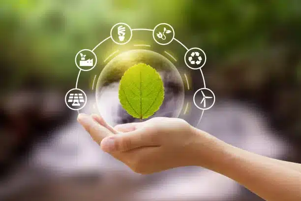 Sustainable Digital Marketing: Ethical Practices and Green Strategies